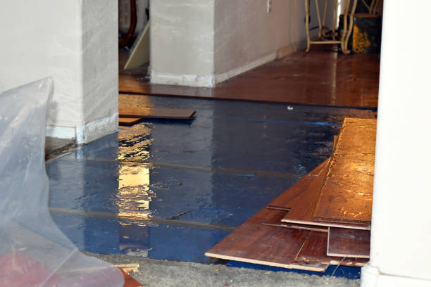 Professional Sewage Cleanup technician working in Caro, MI